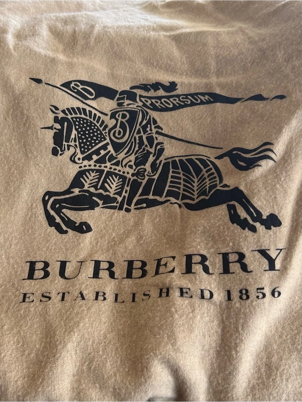 Burberry medium banner